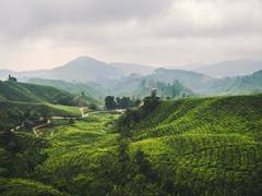 
      
      Indian Travellers Turn to Offbeat Domestic Destinations 
      
      