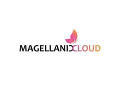 
      
      Magellanic Cloud Posts Landmark FY26 Yearly Results with Rs 700+ 
      
      