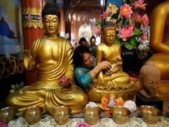 
      
      Mongolia Awaits the Sacred Relics of Sāriputta and Mahā Moggallān
      
      