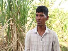 
      
      Gujarati engineer quits IT job, creates farming success story
      
      