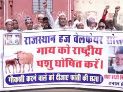
      
      Rajasthan Haj Welfare Society demand cow be named National Animal
      
      