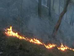 
      
      Massive fire breaks out near Shimla’s Boileauganj mental hospital
      
      