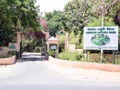 
      
      Gujarat heatwave: Indroda Nature Park creates cooling shield for
      
      