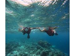 
      
      Real Member Experiences with Delvia Holidays International
      
      