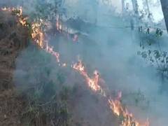 
      
      Rajouri forest fires rage across multiple locations
      
      