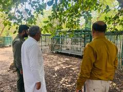 
      
      Forest and Environment Minister visits Gir forests
      
      