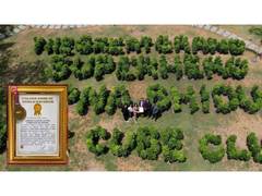 
      
      The Cube Club Creates World Record with Plant Green Installation
      
      