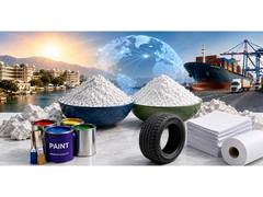 
      
      From Udaipur to Global Markets: The Growth Story of Snow Green
      
      