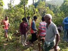 
      
      Odisha: Villager fatally mauled by tiger in Mayurbhanj forest
      
      