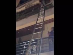 
      
      UP: 3 dogs killed in Ghaziabad Apartment fire, several rescued
      
      