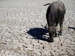 
      
      UN Chief warns of extreme weather risks
      
      