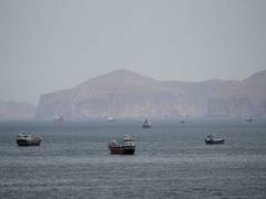 
      
      US denies vessel was hit, says “Iran is lying” over Oman clash
      
      