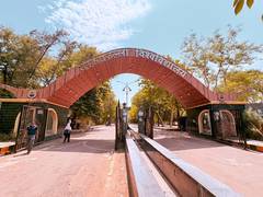 
      
      Barkatullah University to rename as Vagdevi Bhojpal University
      
      