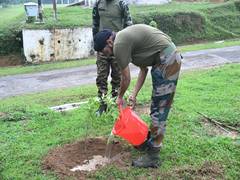 
      
      Tripura: Indian Army marks World Environment Day with mass tree p
      
      