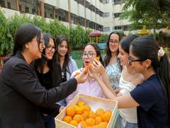 
      
      Over 10,000 girls qualified in JEE Advanced 2026: IIT Roorkee
      
      