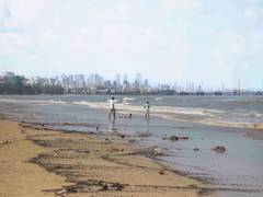 
      
      Maharashtra: 16-year-old boy drowns at Mumbai beach
      
      