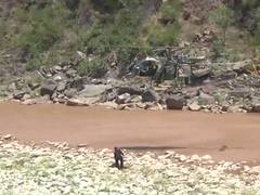 
      
      Indian Army organises humanitarian assistance in Rajouri
      
      