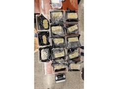 
      
      Customs arrest passenger for smuggling Rs 10.39 crore narcotics
      
      
