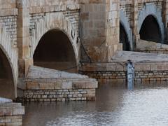 
      
      Sukkur Barrage water crisis threatens Pakistan crops
      
      