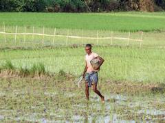 
      
      Maharashtra: Agriculture Department warns against early sowing
      
      