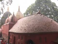
      
      Assam: Devotees throng Kamakhya Temple ahead of Ambubachi Mela
      
      