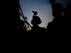 
      
      Israel intercepts incoming missile launched from Yemen
      
      