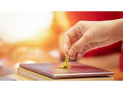 
      
      Who Can Apply for a Gold Loan
      
      
