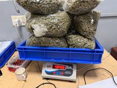 
      
      Customs at Delhi airport intercepts Bangkok passenger with narcotics valued at ₹1.42 Crore
      
      