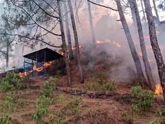 
      
      Massive forest fire erupts across multiple areas in Rajouri
      
      