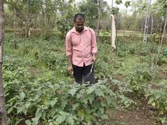 
      
      PM-KSNY becomes an economic lifeline for 69 lakh farmer families
      
      