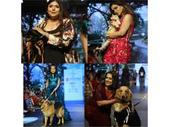 
      
      Tails and Threads Pet Couture by Archana Jain Shines at Ahmedabad
      
      
