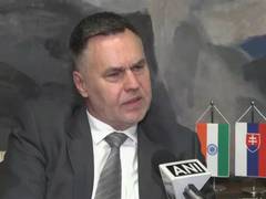 
    Slovak envoy underscores growing defence cooperation
    