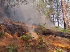 
      
      J-K: Massive forest fires break out in Rajouri amid heatwave, dry
      
      