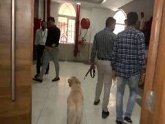 
      
      Bomb threats target government offices in Mumbai, Ahmedabad
      
      