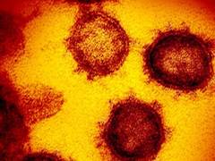 
    AI-driven ‘Universal Vaccine’ to pre-empt next pandemic
    