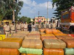 
      
      Police seize cannabis worth Rs 10 cr in Chhattisgarh's Balrampur
      
      
