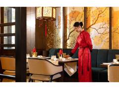 
      
      The Golden Dragon spreads its wings at Taj Surajkund
      
      