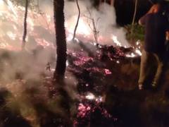 
      
      J-K: Massive fire breaks out in Katehda forest area in Rajouri
      
      