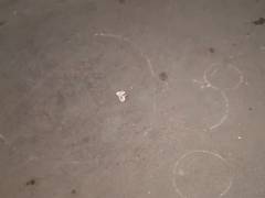 
      
      Delhi: Man shot dead by three assailants in Nehru Vihar
      
      