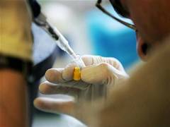 
      
      SBI sees material health gains in NHFS-6
      
      