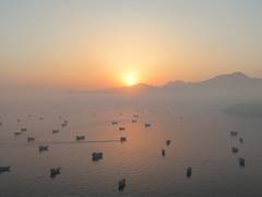 
    Iran fires drones at commercial ships in Strait of Hormuz: Report
    
