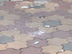 
      
      CCTV footage yields clues in Ranchi RSS office petrol bomb attack
      
      