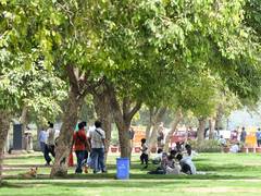 
      
      India restores 21.76 million hectares of deforested land
      
      