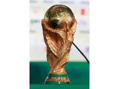 
      
      Mexico City police detain man for attempting to sell FIFA WC pass
      
      