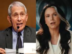 
    Tulsi Gabbard, on final day as US DNI, alleges Biden's Top Medica
    