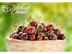 
      
      The new season of world famous cherries 
      
      