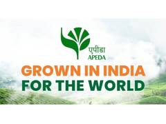 
      
       Uttarakhand’s premium litchi enters European market with first s
      
      