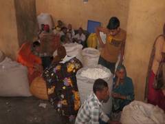 
      
      J-K: Udhampur cocoon auction market generates Rs 3.5 cr revenue
      
      