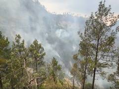 
      
      Reasi forest fire spreads rapidly, containment efforts on
      
      