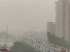 
      
      Delhi-NCR hit by dust storm, showers bring respite from heatwaves
      
      